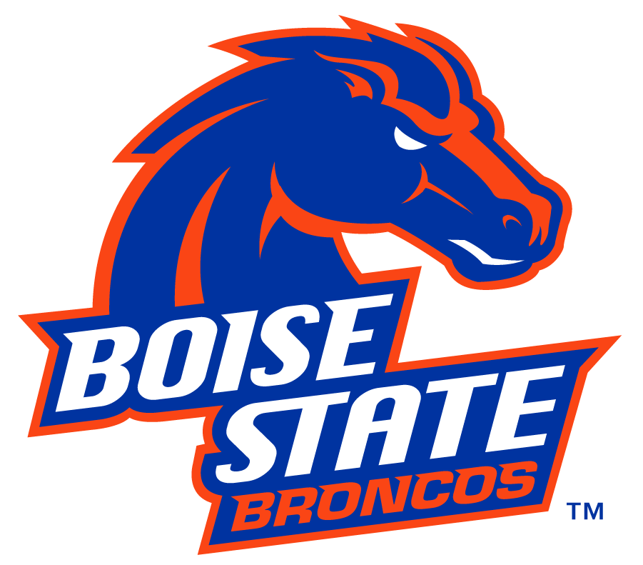 Boise State Broncos 2012-2013 Secondary Logo v2 iron on transfers for clothing